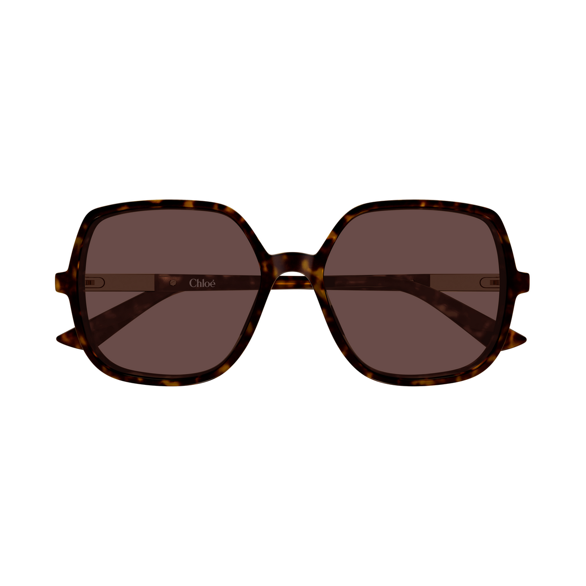 Chloé CH0362S Écaille Havane 002 de face - Les Lunettes de Pauline