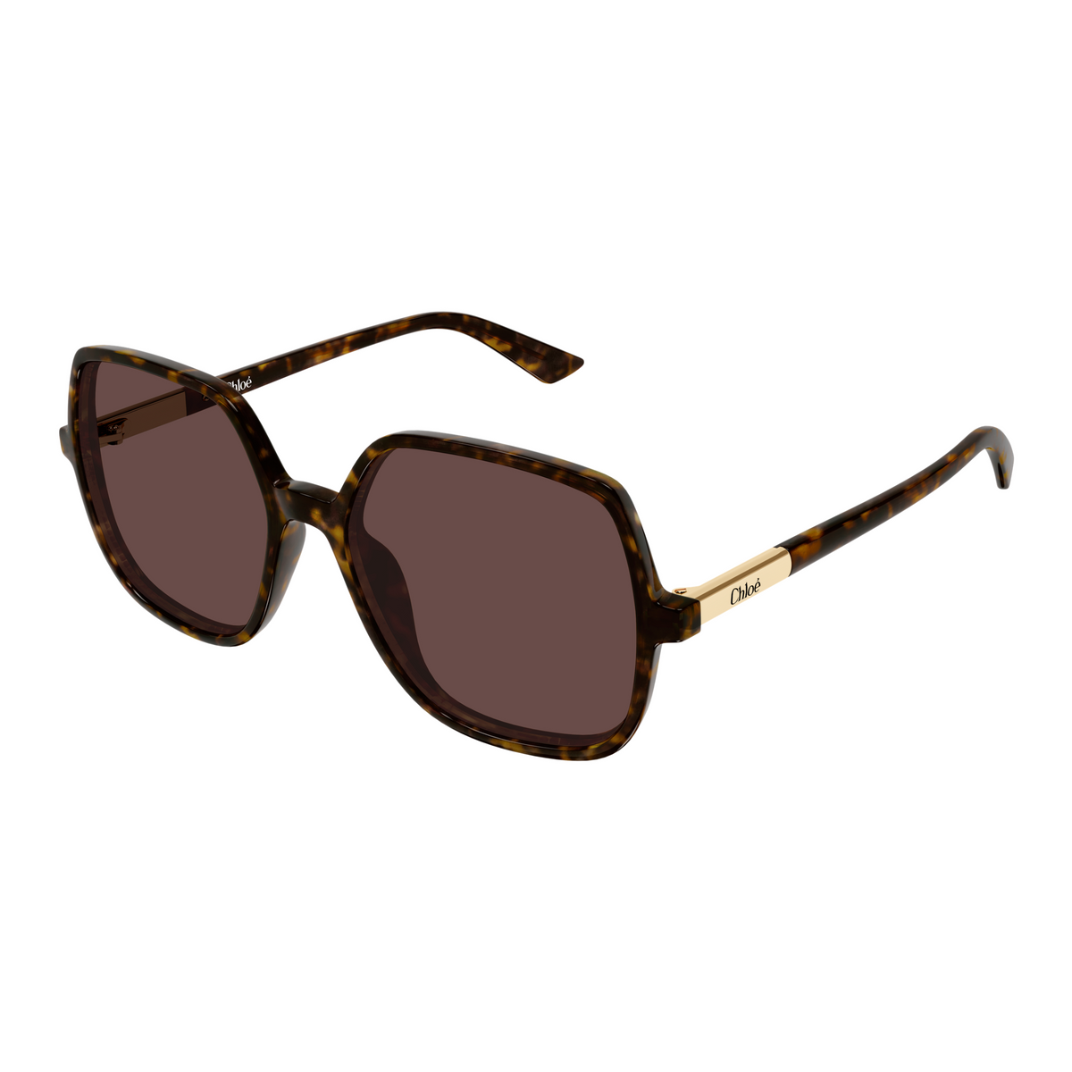 Chloé CH0362S Écaille Havane 002 de trois-quarts - Les Lunettes de Pauline