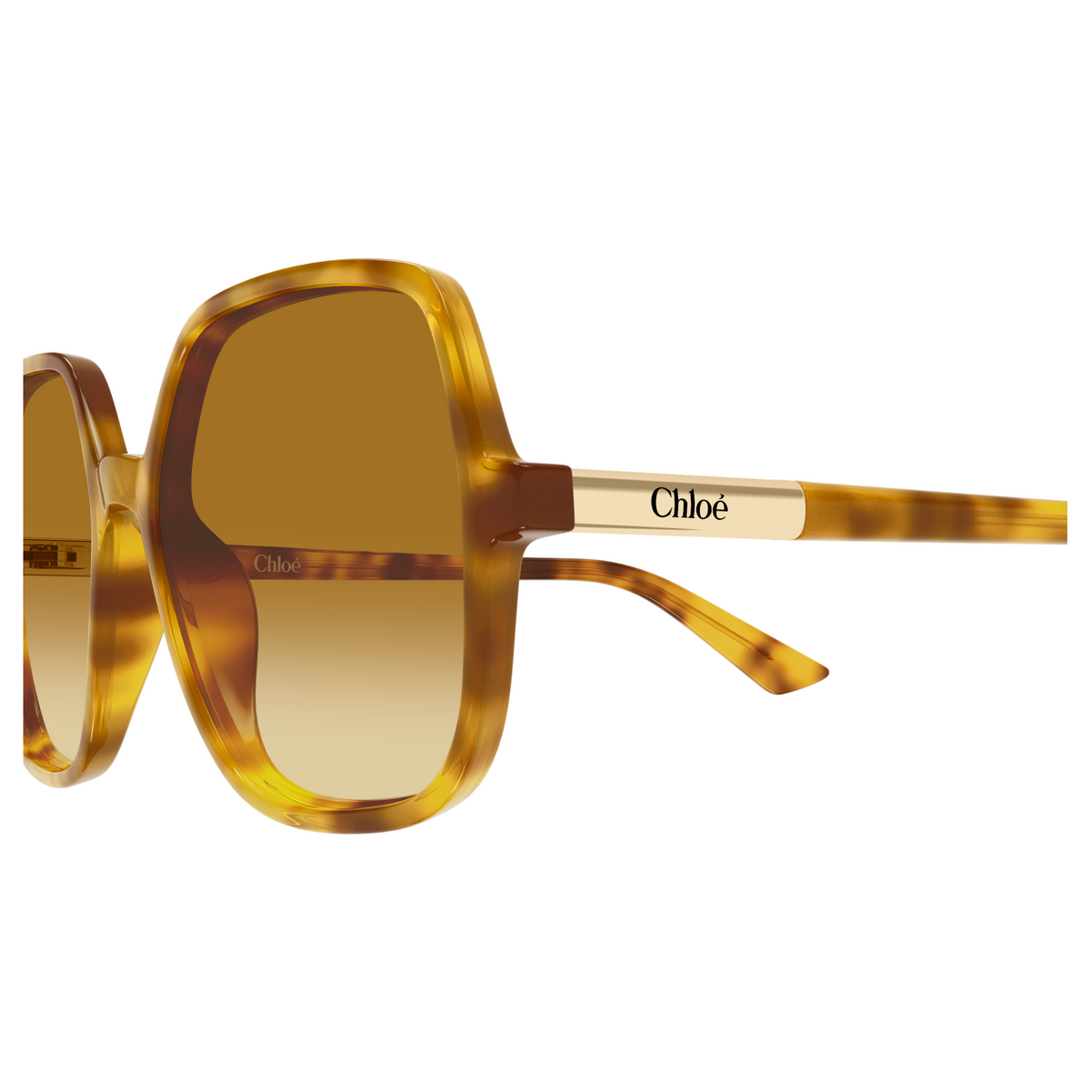 Chloé CH0362S Écaille Miel 004, détail des branches - Les Lunettes de Pauline