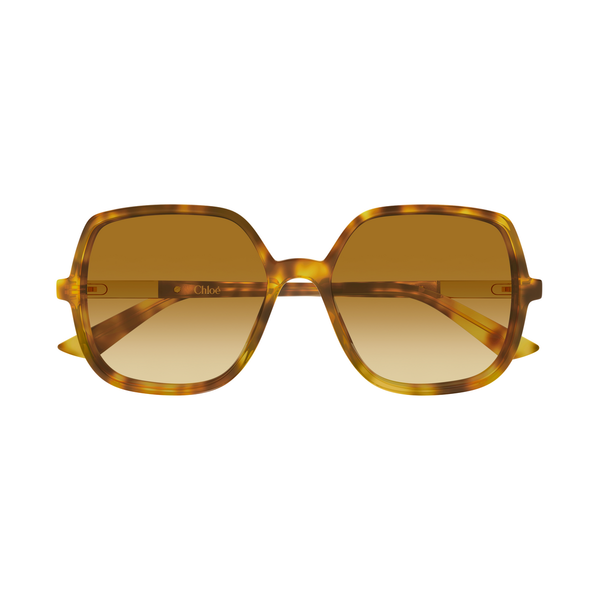 Chloé CH0362S Écaille Miel 004 de face - Les Lunettes de Pauline