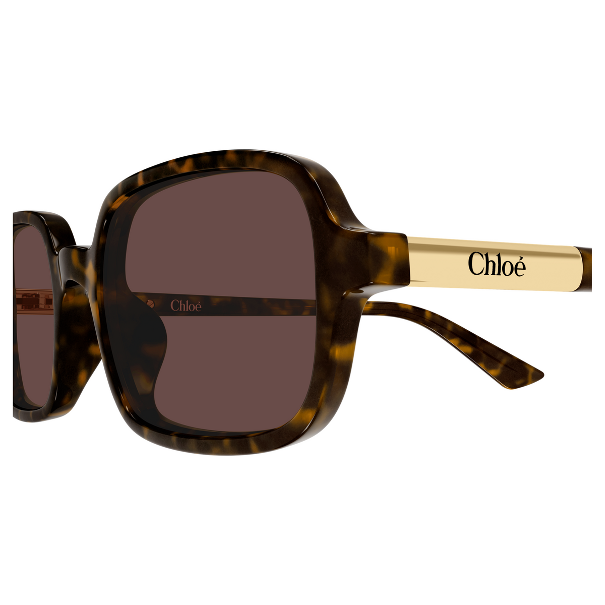Chloé CH0363S Écaille Havane 002, détail des branches - Les Lunettes de Pauline