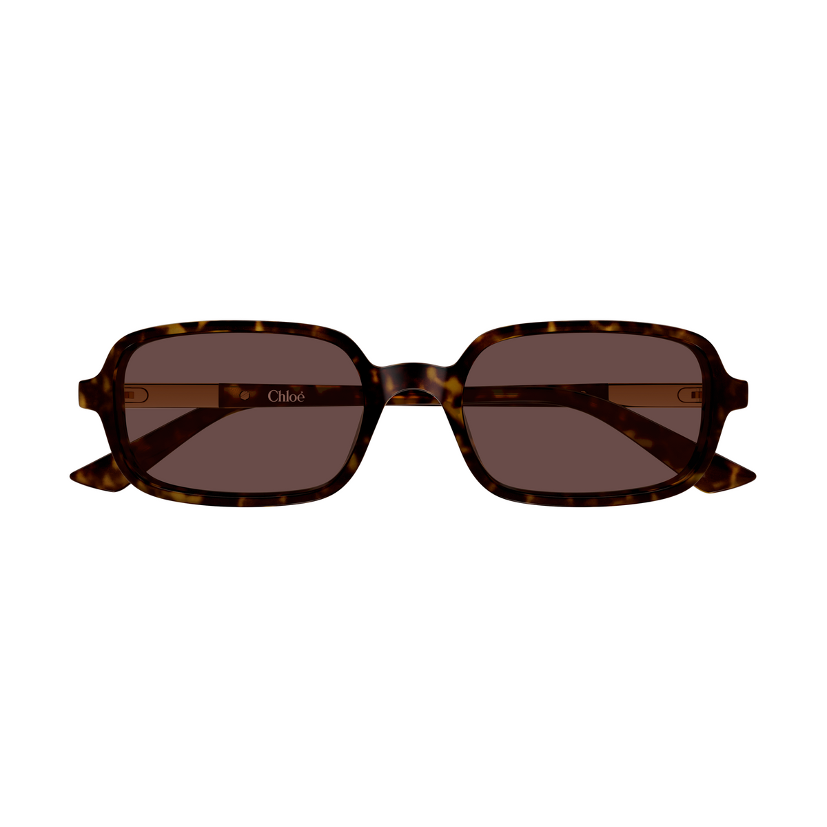 Chloé CH0363S Écaille Havane 002 de face - Les Lunettes de Pauline