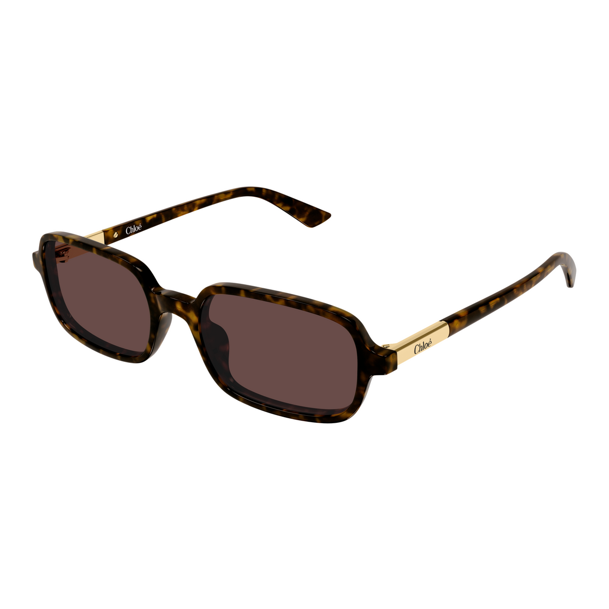 Chloé CH0363S Écaille Havane 002 de trois-quarts - Les Lunettes de Pauline