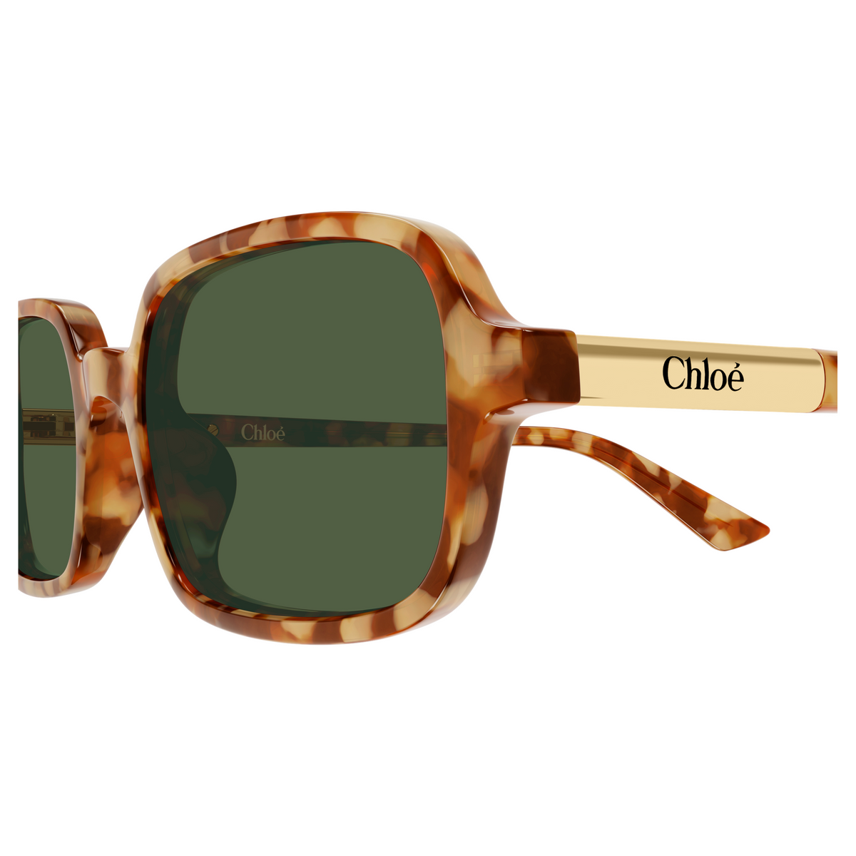 Chloé CH0363S Écaille Blonde 003, détail des branches - Les Lunettes de Pauline