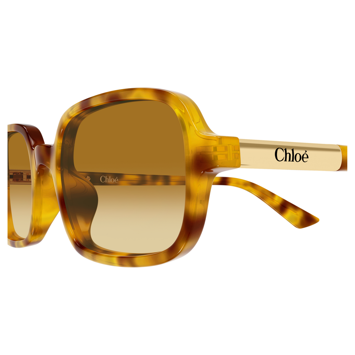 Chloé CH0363S Écaille Miel 004, détail des branches - Les Lunettes de Pauline