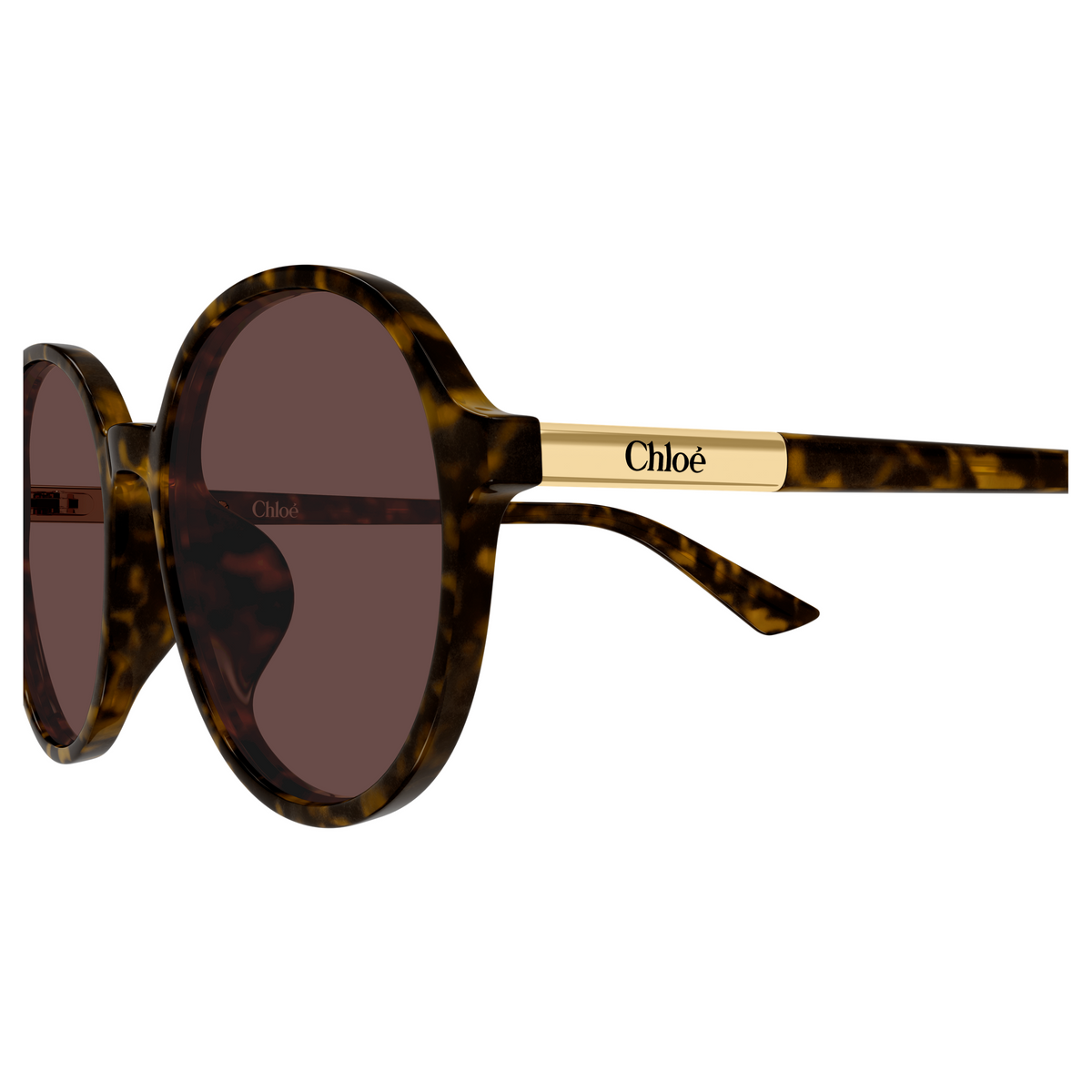 Chloé CH0365SK Écaille Havane 002, détail des branches - Les Lunettes de Pauline