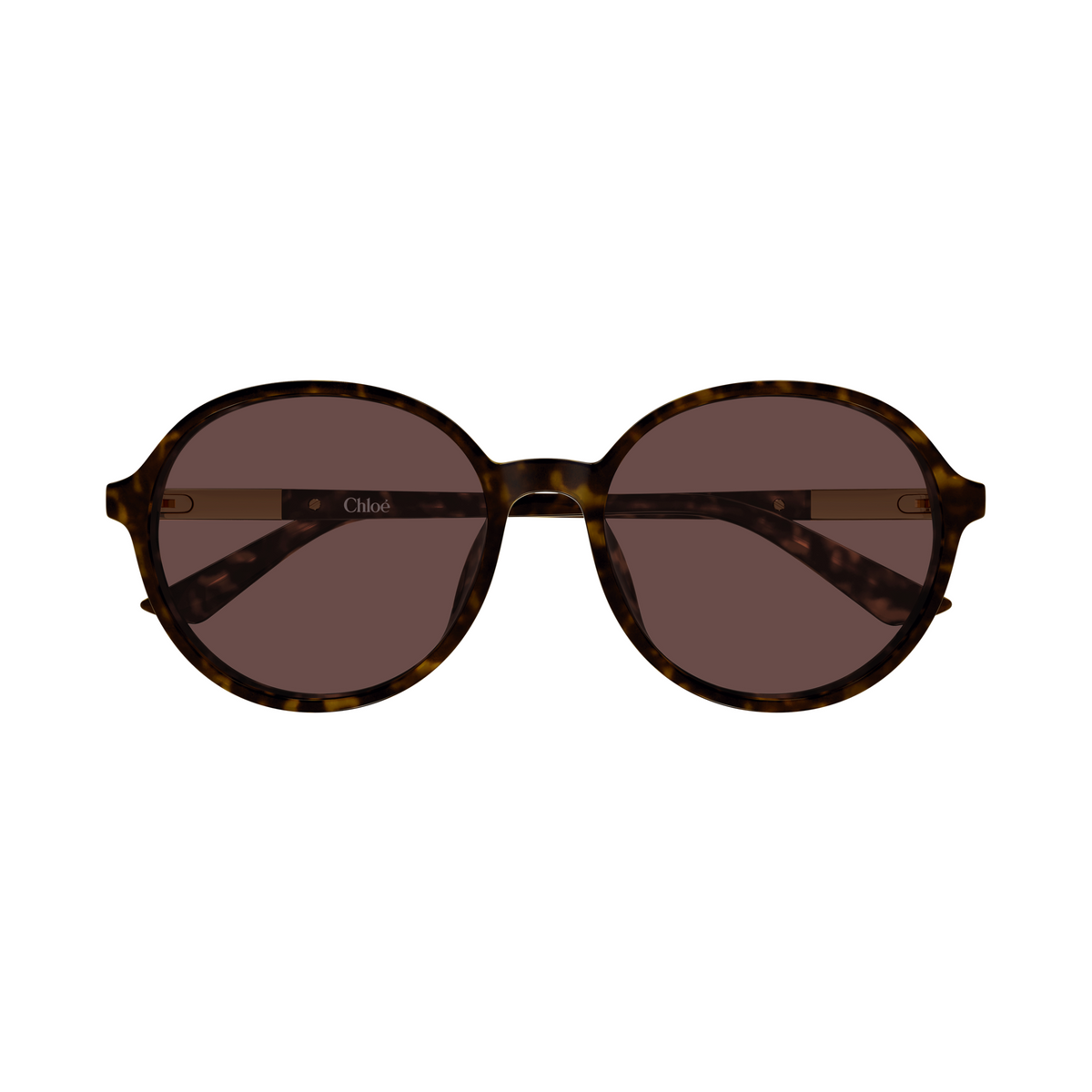 Chloé CH0365SK Écaille Havane 002 de face - Les Lunettes de Pauline
