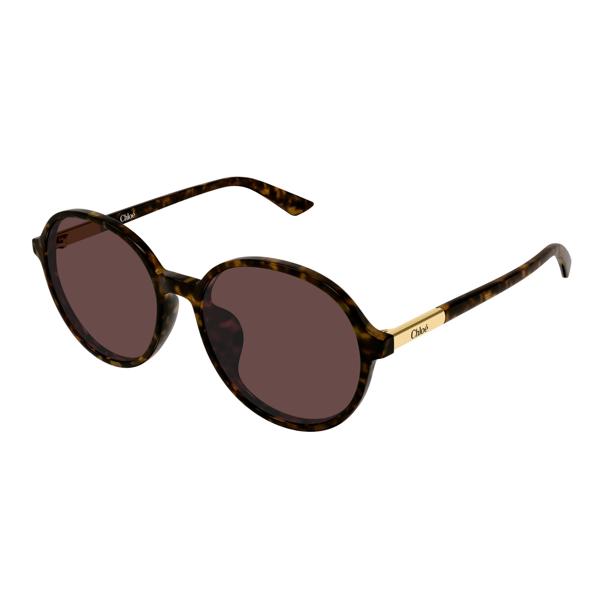 Chloé CH0365SK Écaille Havane 002 de trois-quarts - Les Lunettes de Pauline