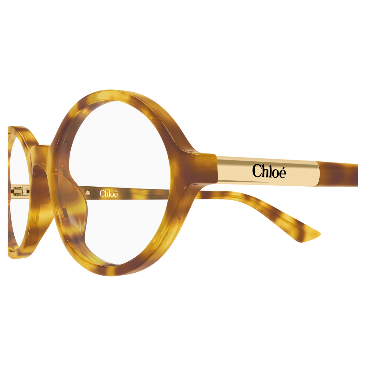 Chloé CH0367O Écaille Havane 003, détail des branches - Les Lunettes de Pauline