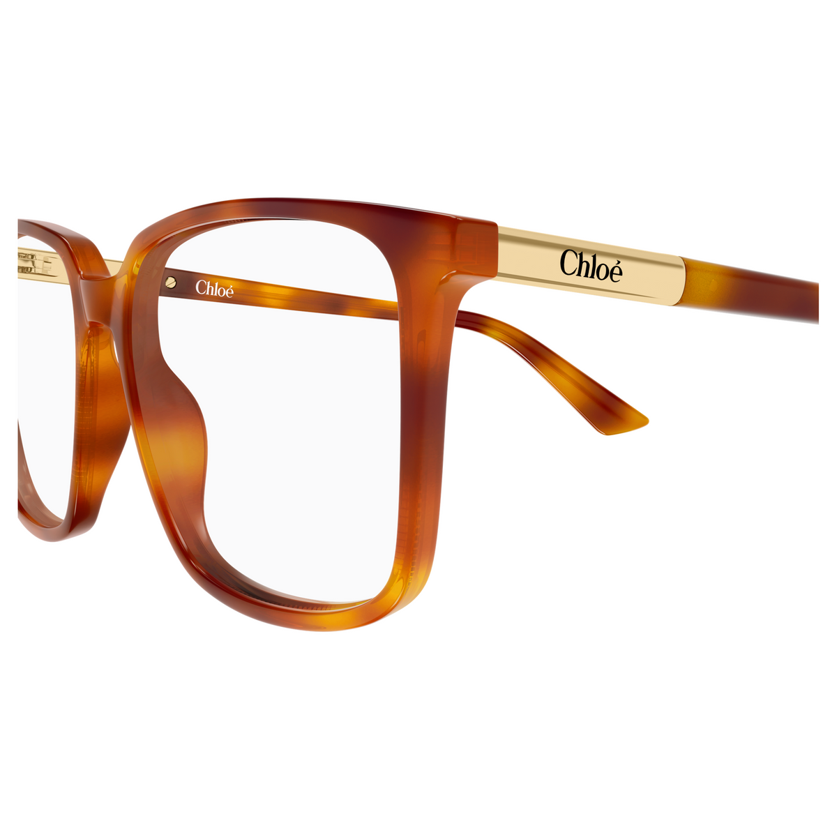 Chloé CH0369O Écaille Blonde 002, détail des branches - Les Lunettes de Pauline