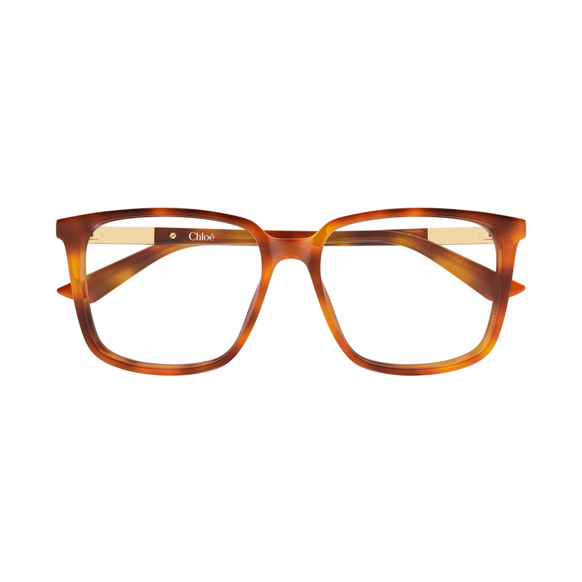 Chloé CH0369O Écaille Blonde 002 de face - Les Lunettes de Pauline