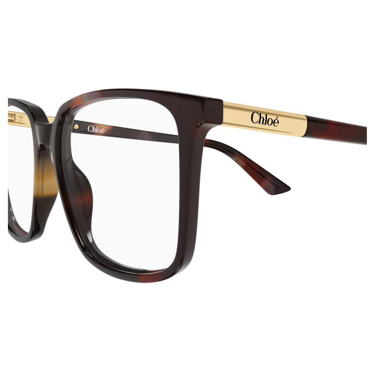 Chloé CH0369O Écaille Havane 003, détail des branches - Les Lunettes de Pauline