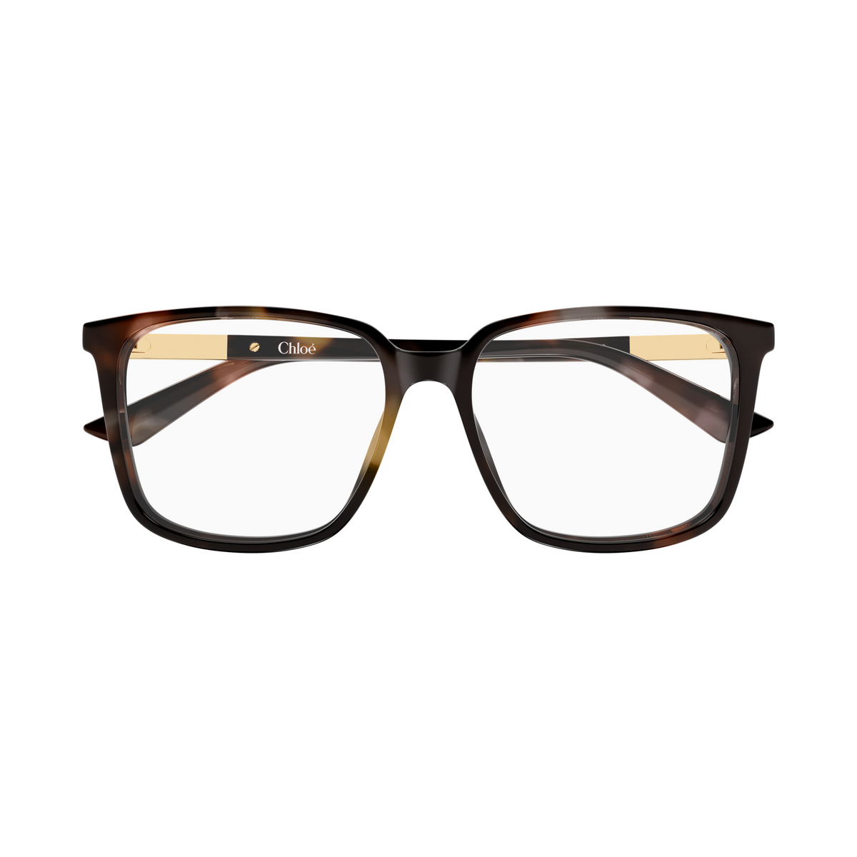 Chloé CH0369O Écaille Havane 003 de face - Les Lunettes de Pauline