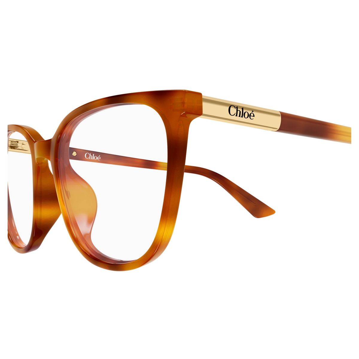Chloé CH0370OL Écaille Havane 002, détail des branches - Les Lunettes de Pauline