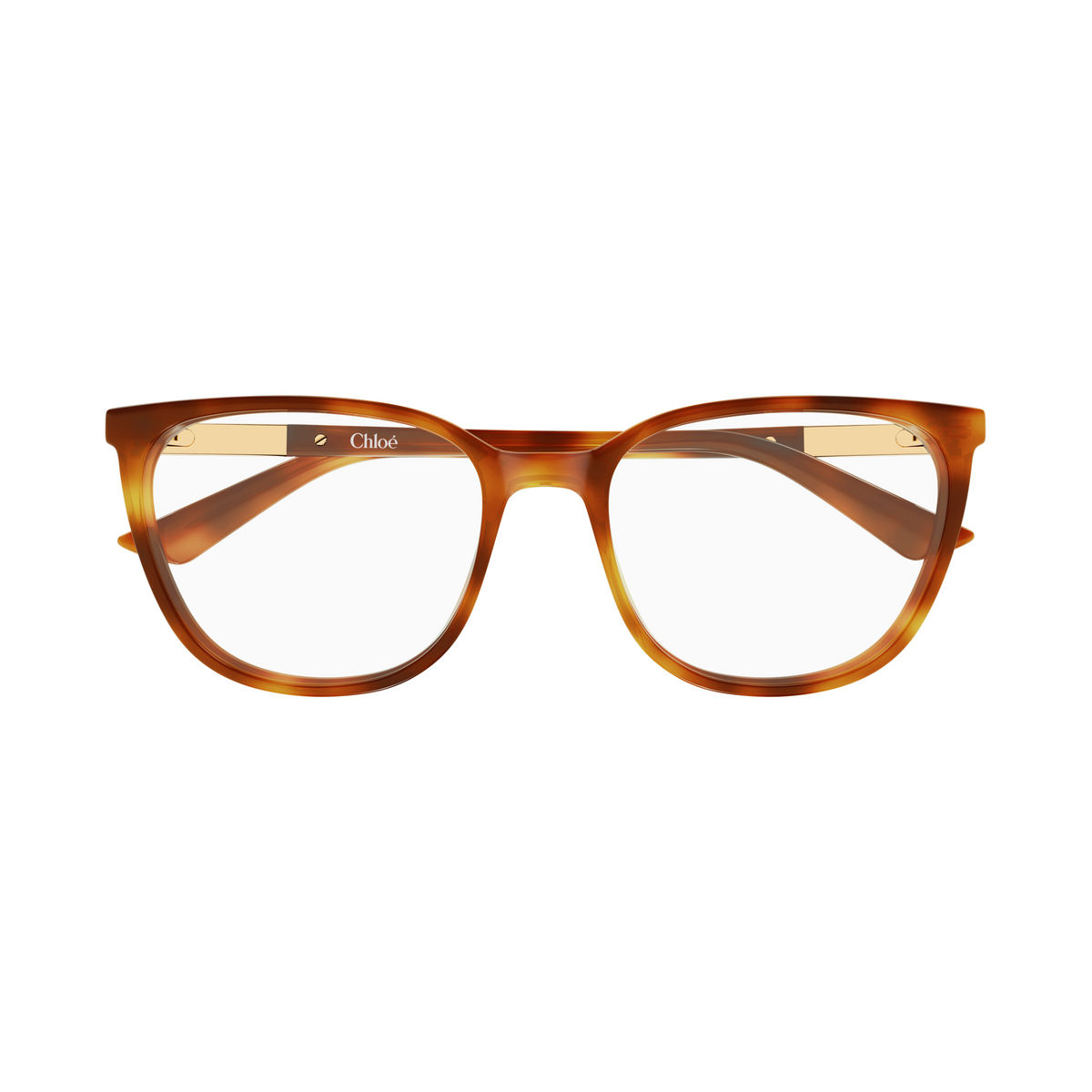 Chloé CH0370OL Écaille Havane 002 de face - Les Lunettes de Pauline