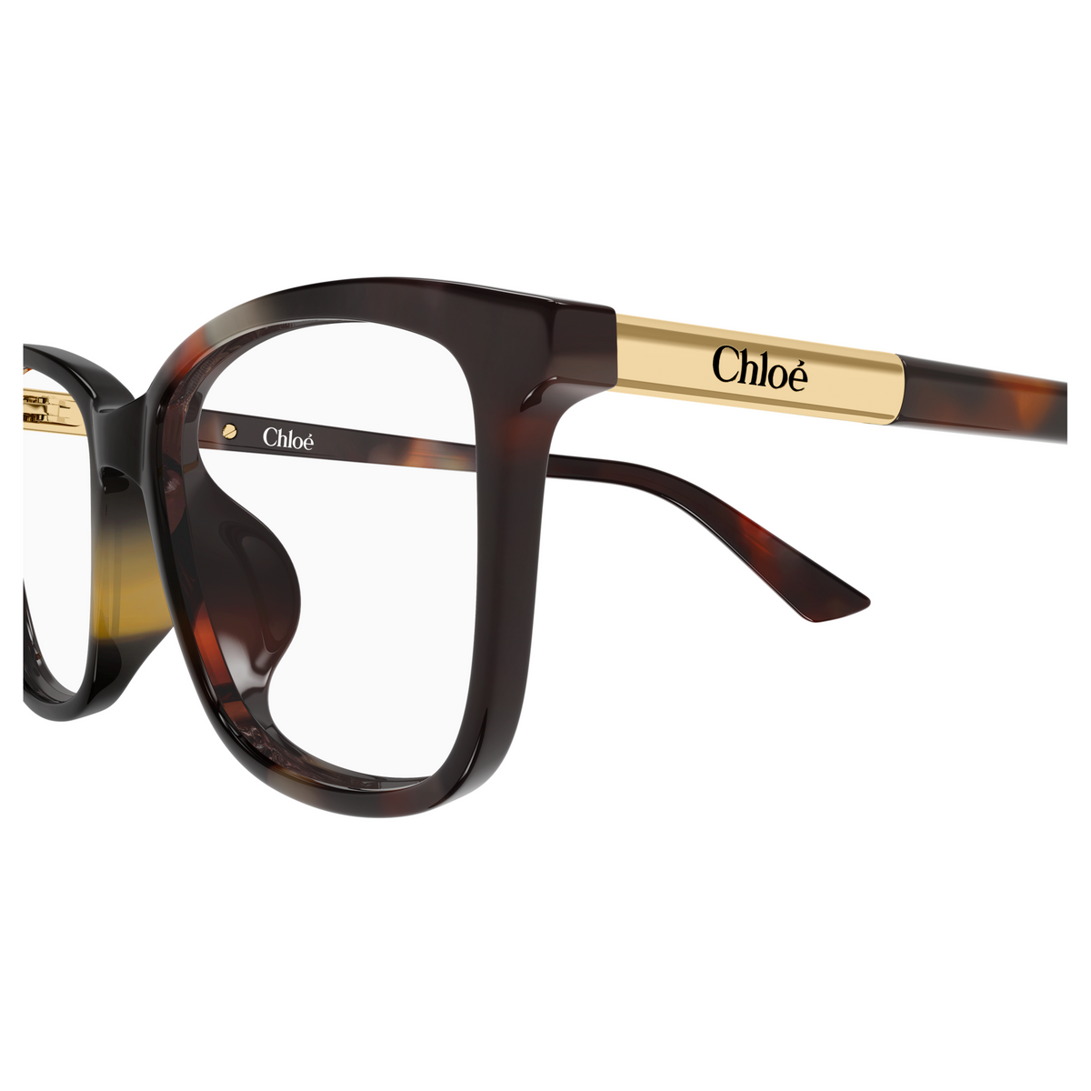 Chloé CH0371OA Écaille Havane 002, détail des branches - Les Lunettes de Pauline