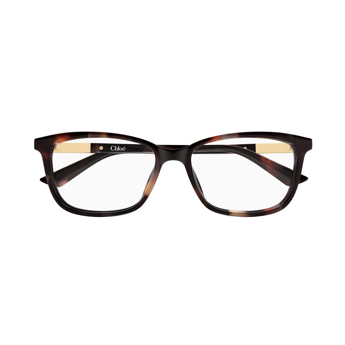 Chloé CH0371OA Écaille Havane 002 de face - Les Lunettes de Pauline