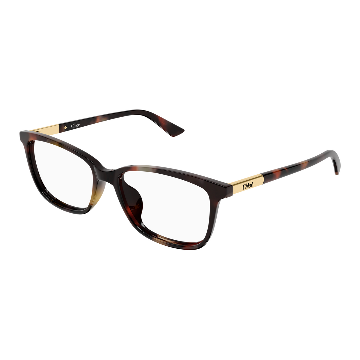 Chloé CH0371OA Écaille Havane 002 de trois-quarts - Les Lunettes de Pauline