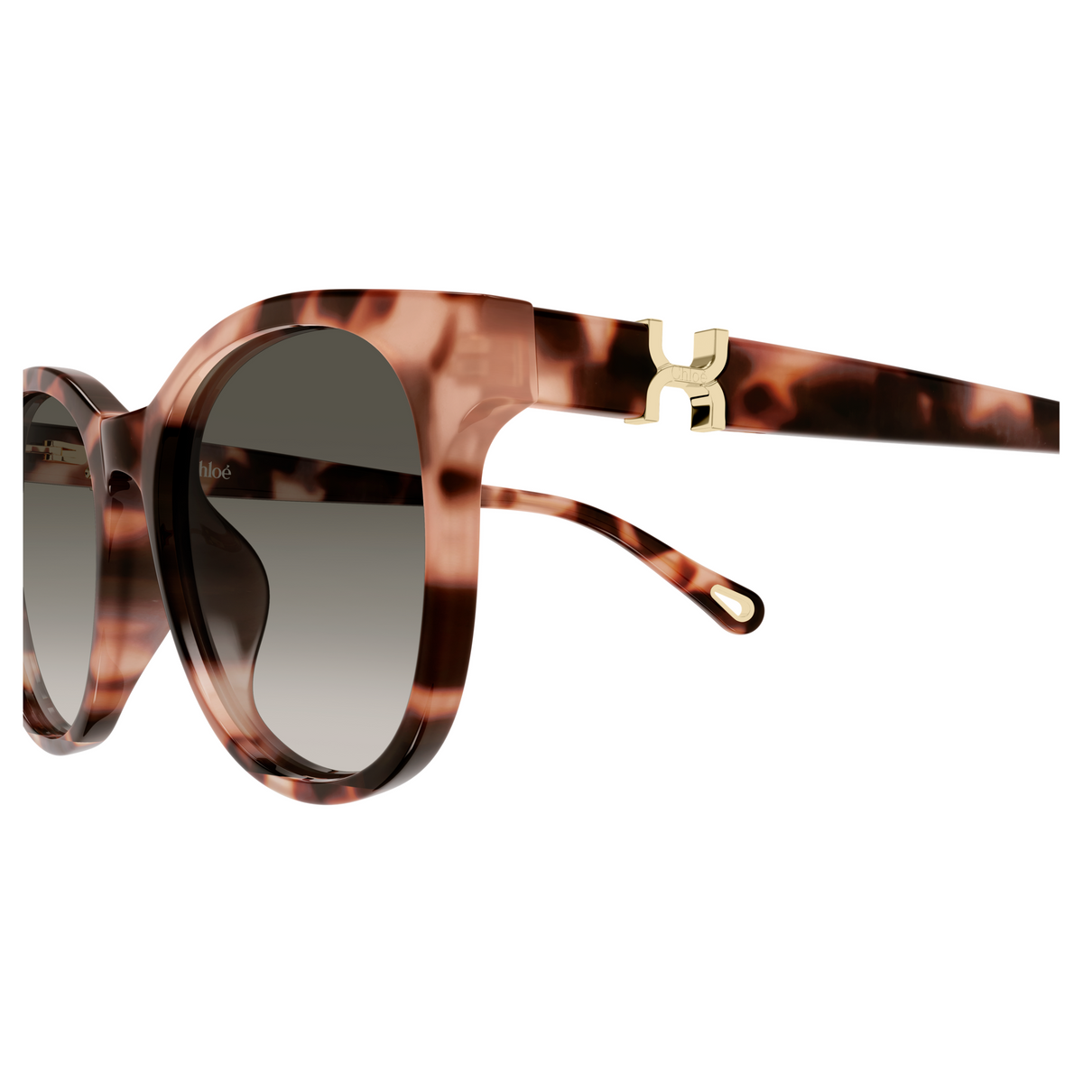 Chloé CH0375SK Écaille Havane 002, détail des branches - Les Lunettes de Pauline