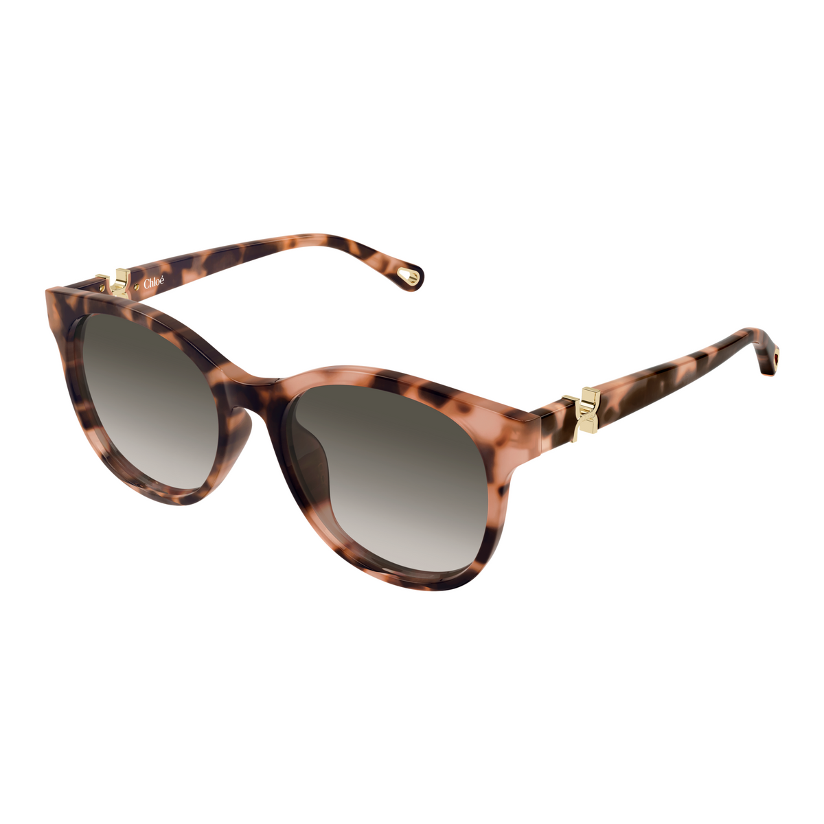 Chloé CH0375SK Écaille Havane 002 de trois-quarts - Les Lunettes de Pauline