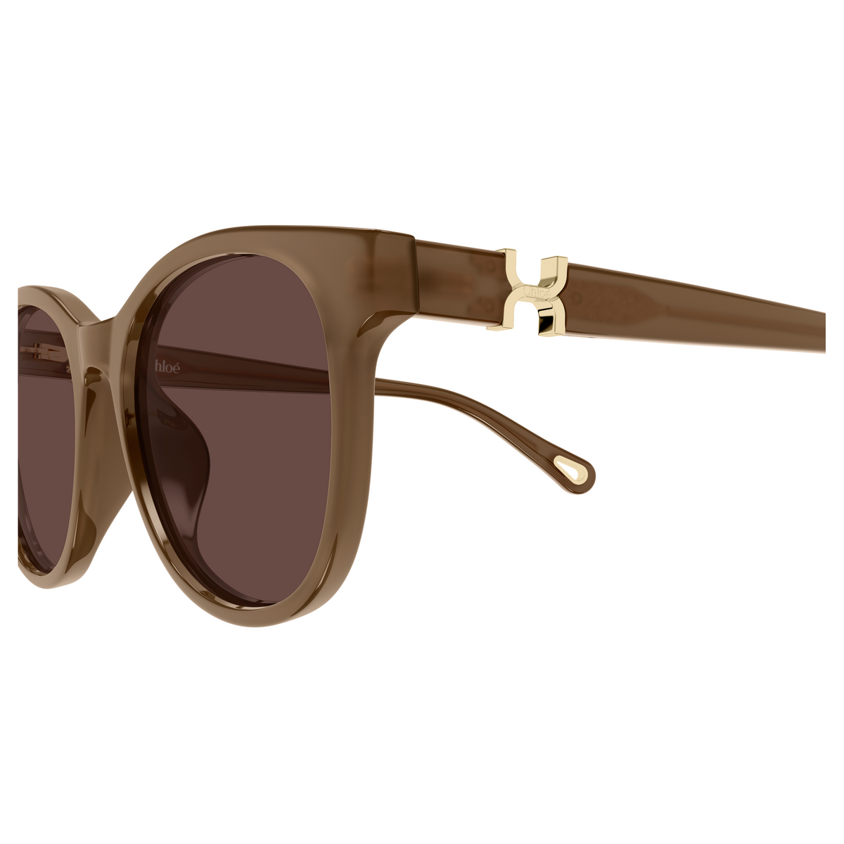 Chloé CH0375SK Brun 004, détail des branches - Les Lunettes de Pauline