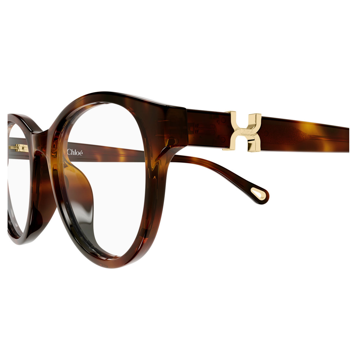 Chloé CH0376OA Écaille Havane 002, détail des branches - Les Lunettes de Pauline