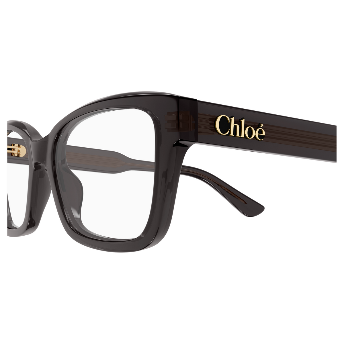 Chloé CH0380O Gris 001, détail des branches - Les Lunettes de Pauline