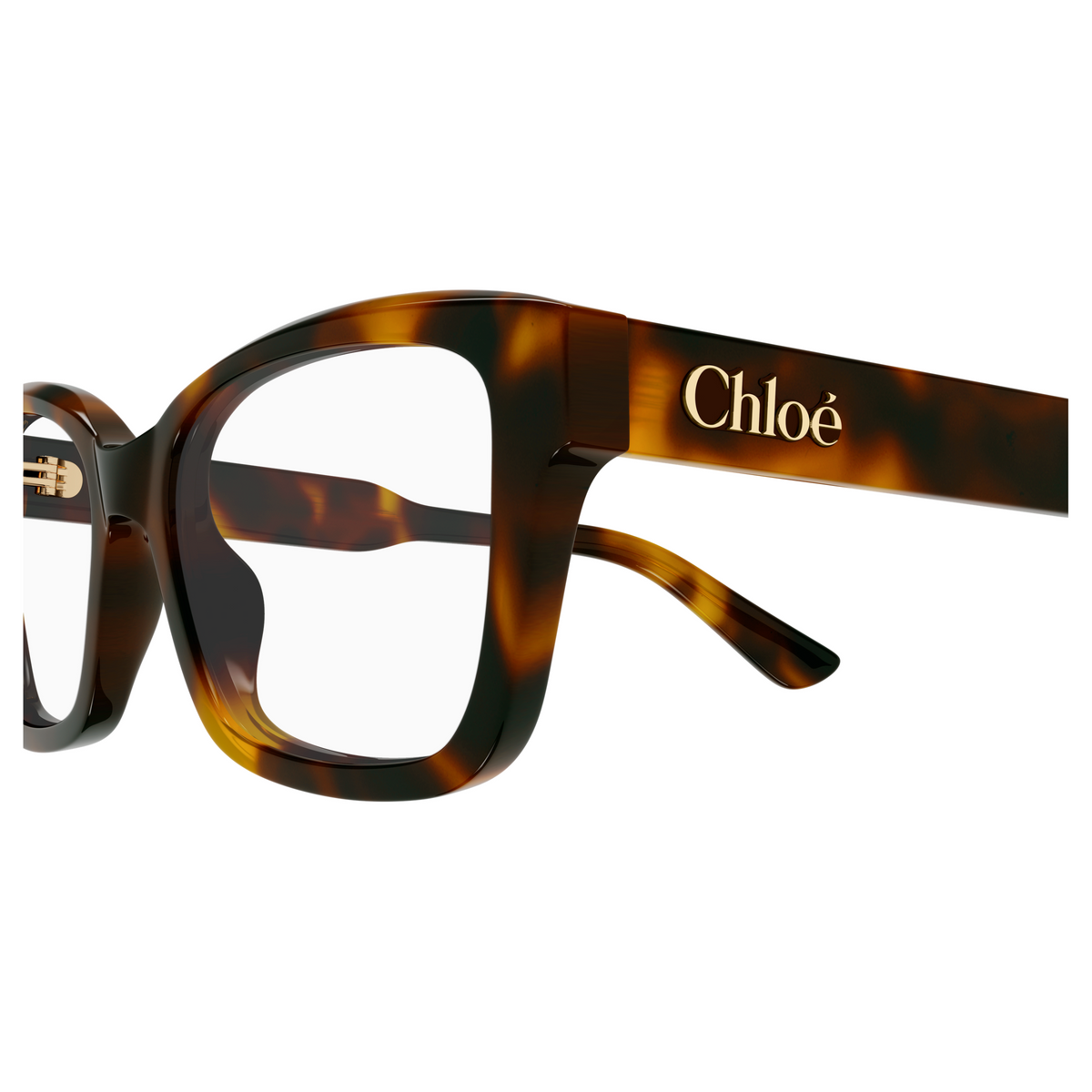Chloé CH0380O Écaille Havane 002, détail des branches - Les Lunettes de Pauline