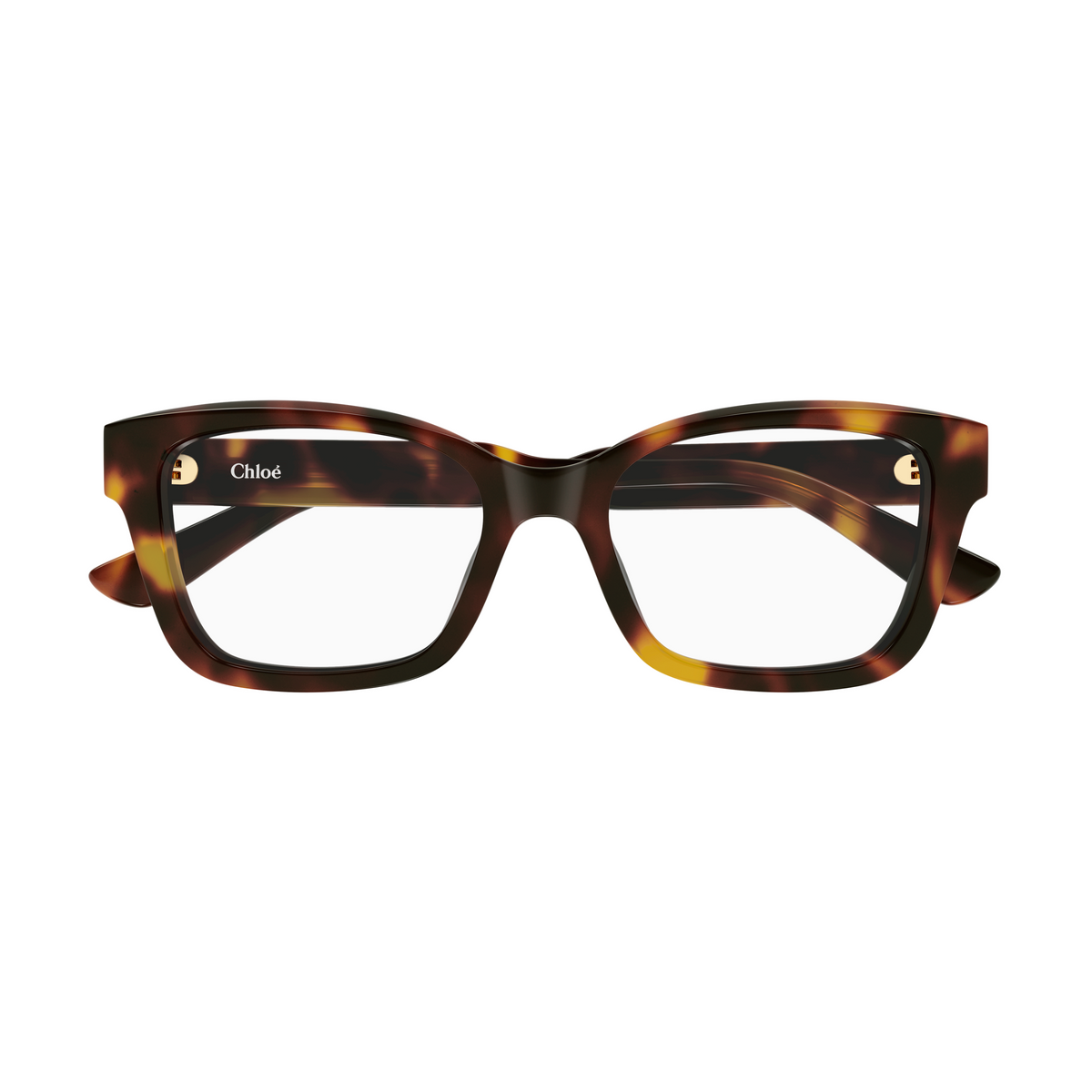 Chloé CH0380O Écaille Havane 002 de face - Les Lunettes de Pauline
