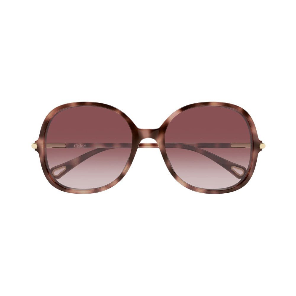 Chloé CH0383S Écaille Rose 004 - Les Lunettes de Pauline