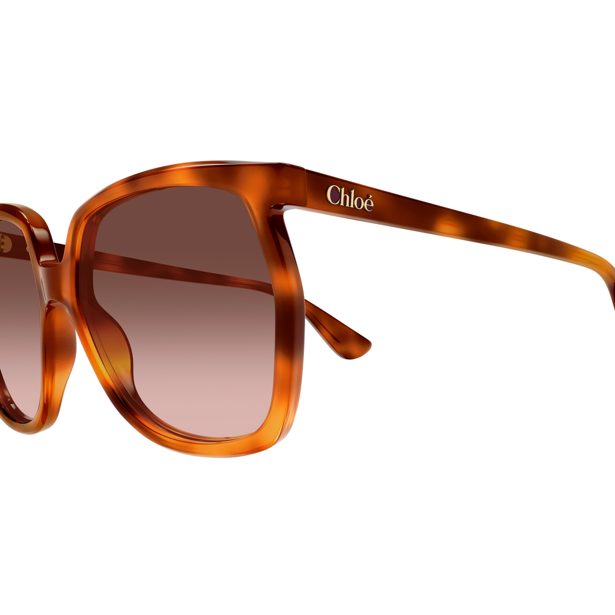Chloé CH0389S Écaille Havane 002 en détail des branches - Les Lunettes de Pauline