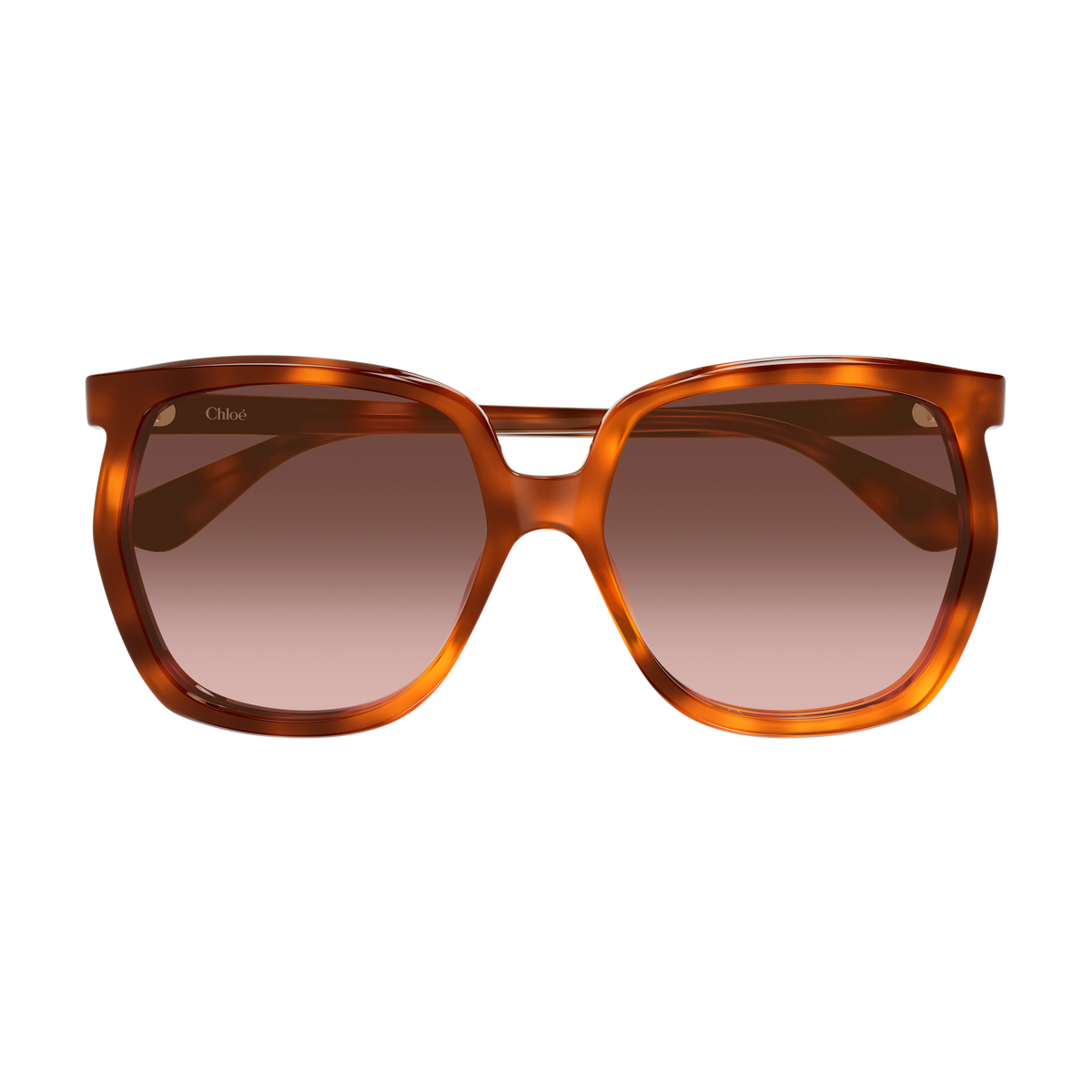 Chloé CH0389S Écaille Havane 002 de face - Les Lunettes de Pauline