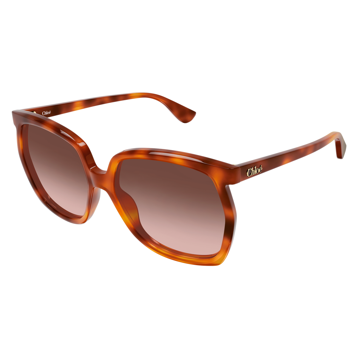 Chloé CH0389S Écaille Havane 002 de trois-quarts - Les Lunettes de Pauline