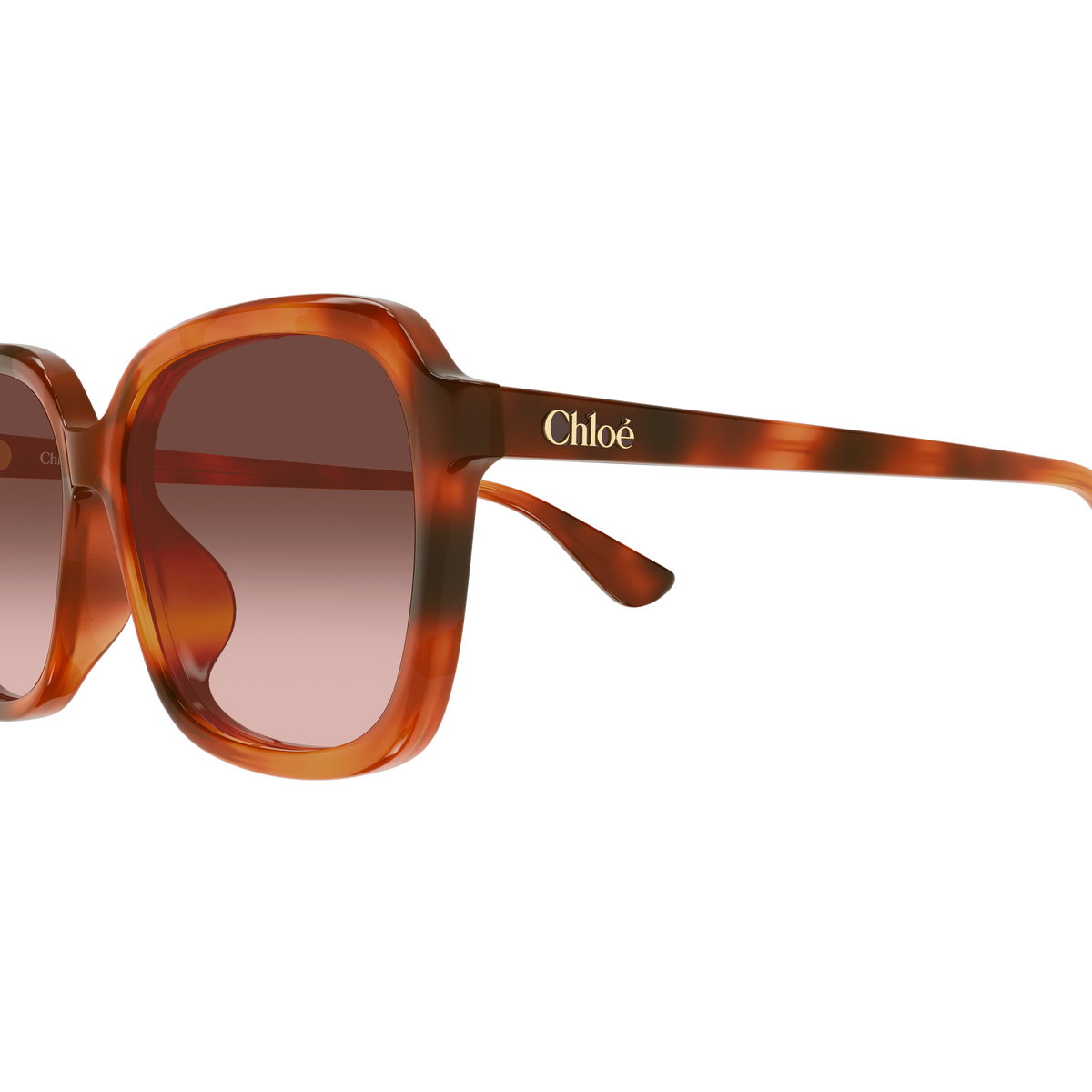 Chloé CH0390SK Écaille Havane 002 en détail des branches - Les Lunettes de Pauline