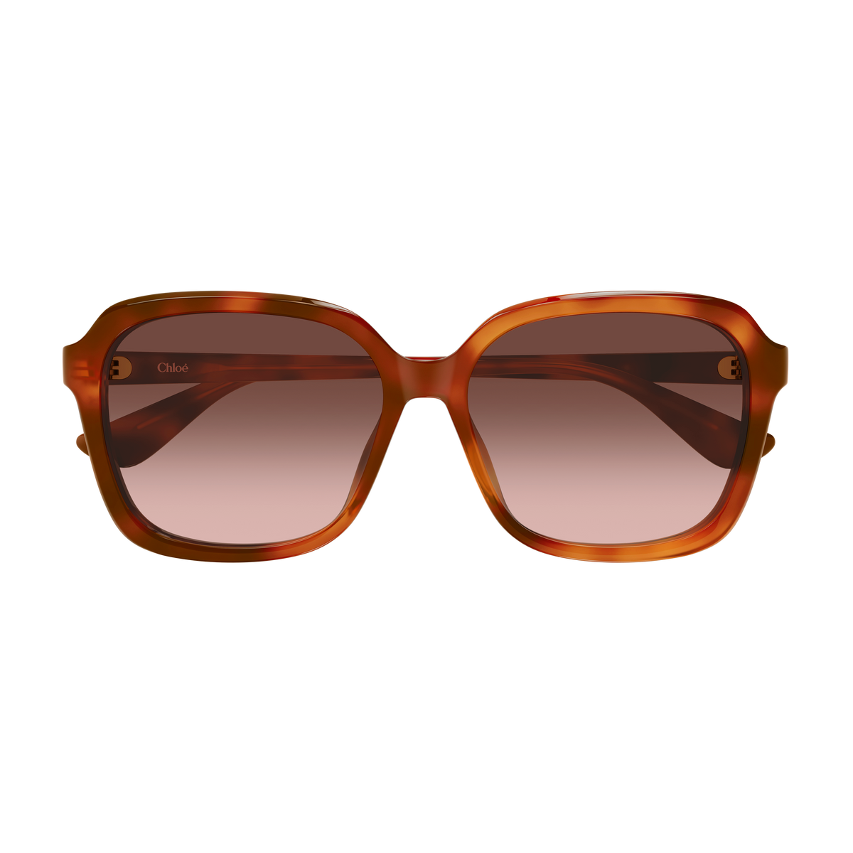 Chloé CH0390SK Écaille Havane 002 de face - Les Lunettes de Pauline