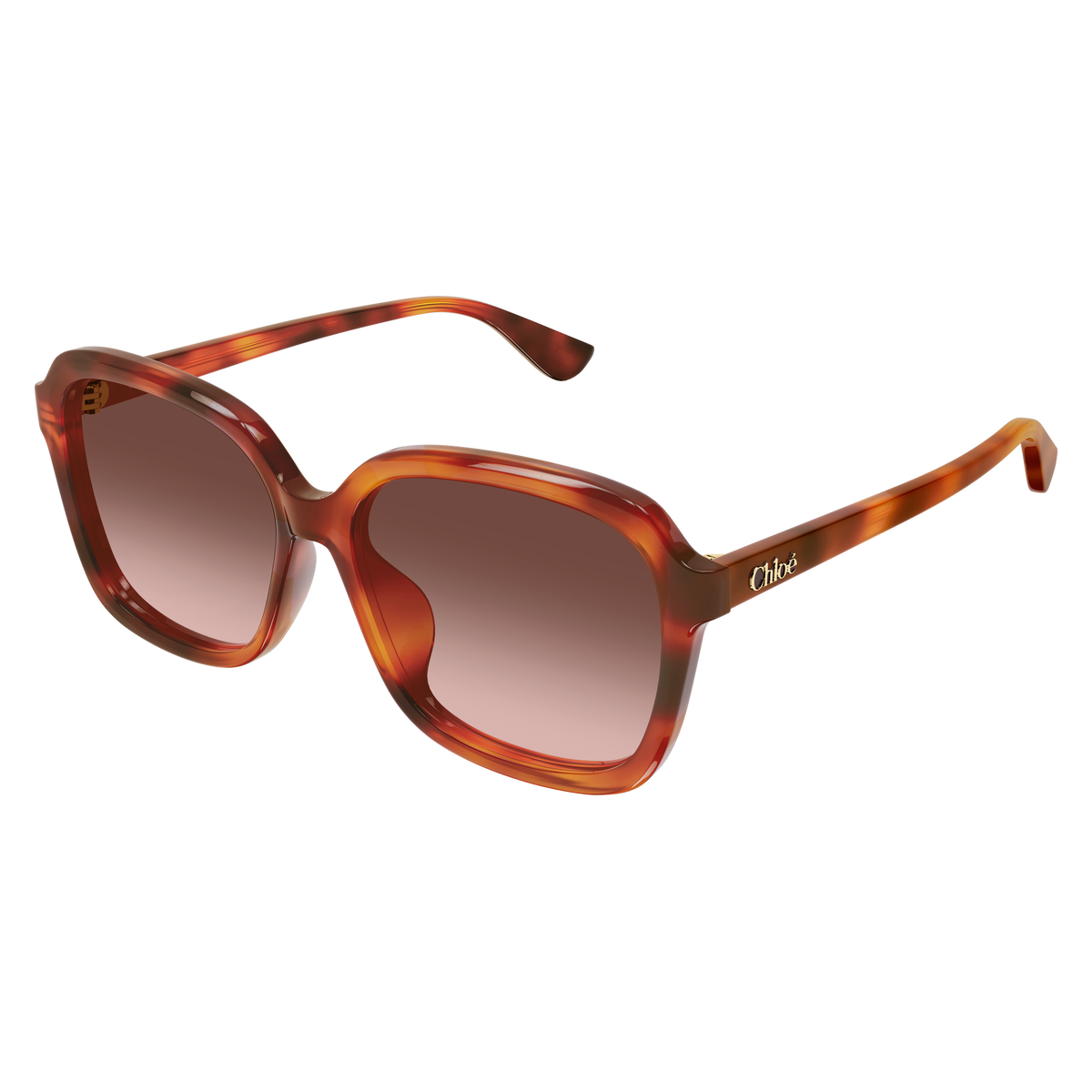 Chloé CH0390SK Écaille Havane 002 de trois-quarts - Les Lunettes de Pauline