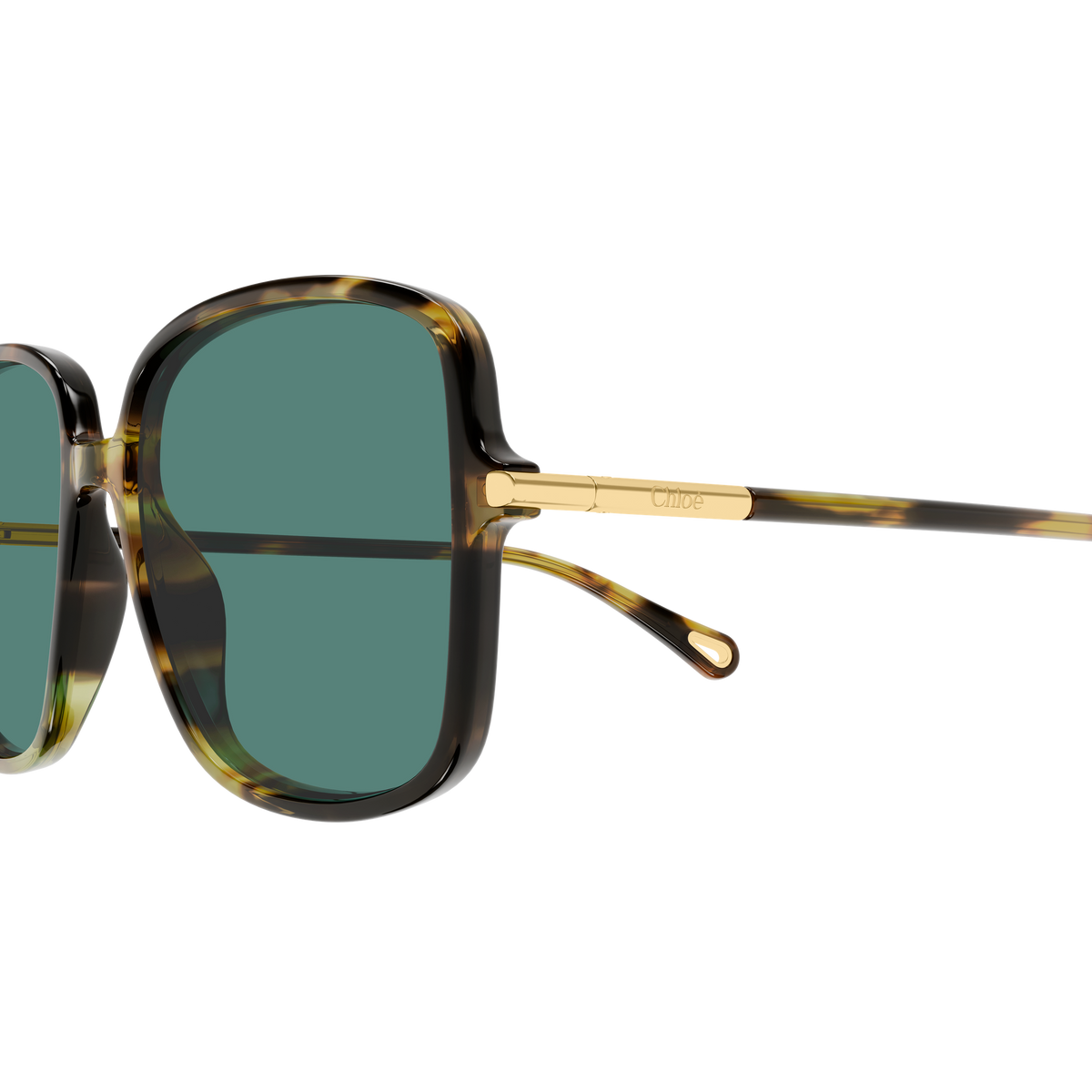 Chloé CH0396S Écaille Havane Verres Verts 002 en détail des branches - Les Lunettes de Pauline