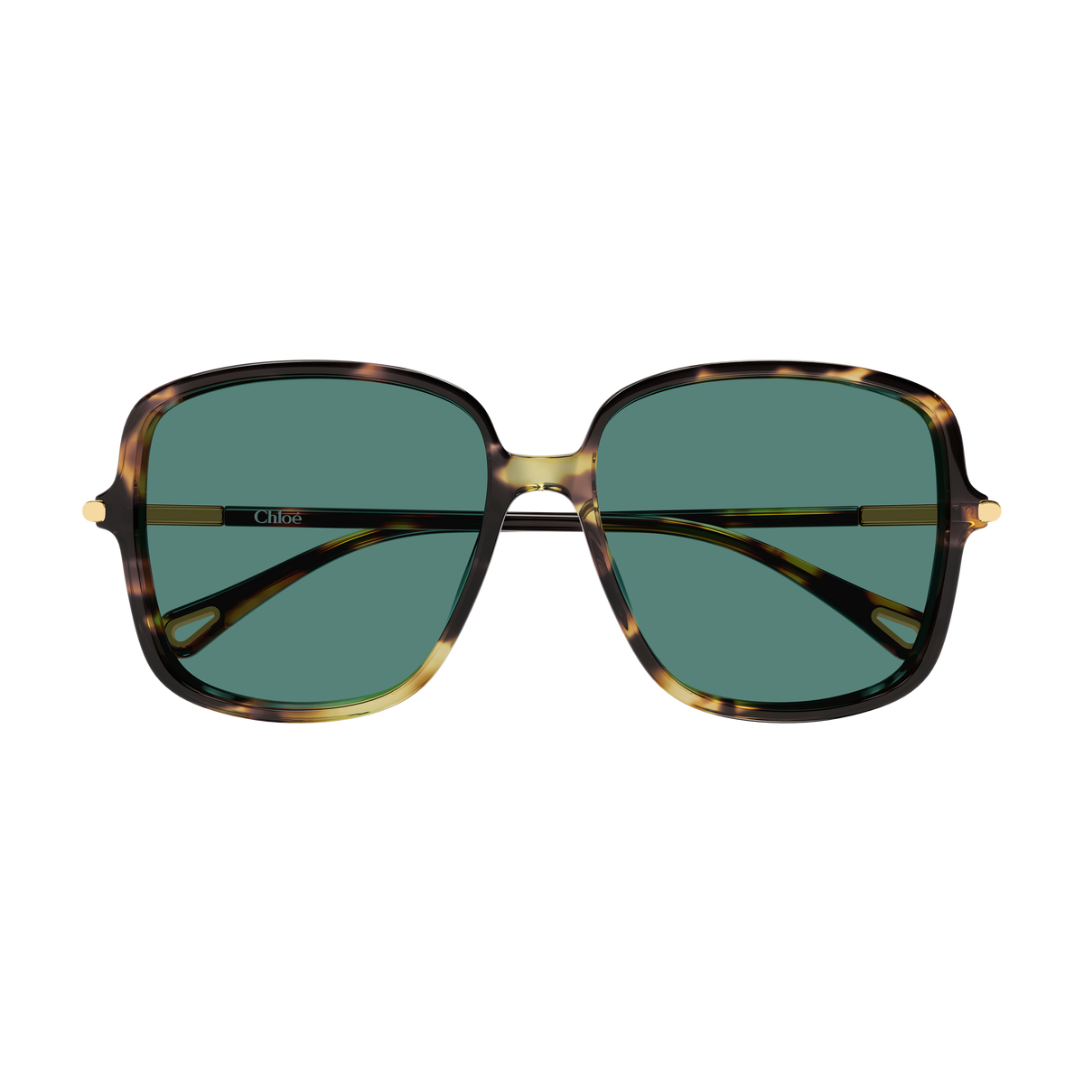 Chloé CH0396S Écaille Havane Verres Verts 002 de face - Les Lunettes de Pauline