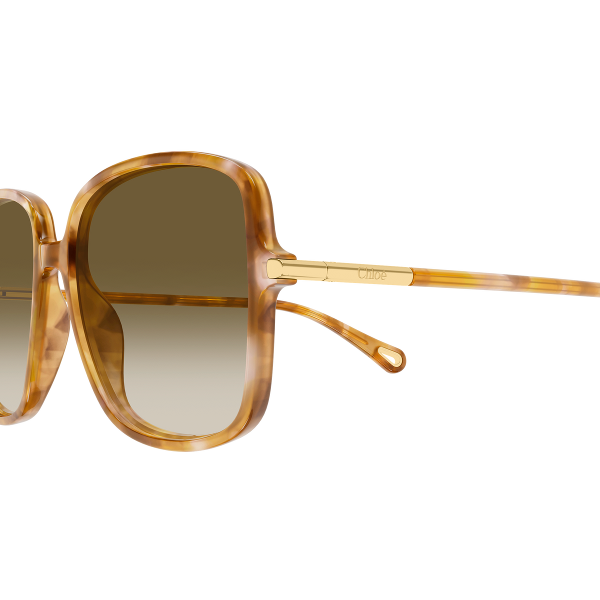 Chloé CH0396S Écaille Havane Verres Bruns 003 en détail des branches - Les Lunettes de Pauline