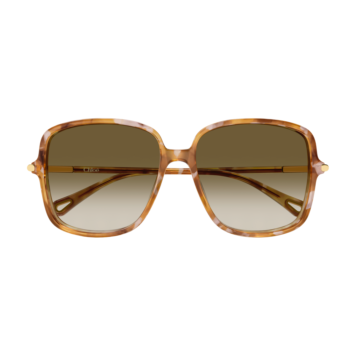 Chloé CH0396S Écaille Havane Verres Bruns 003 de face - Les Lunettes de Pauline