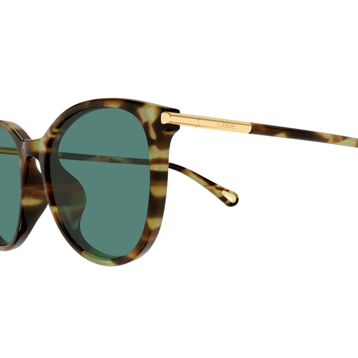 Chloé CH0397SK Écaille Havane Verres Verts 002 en détail des branches - Les Lunettes de Pauline