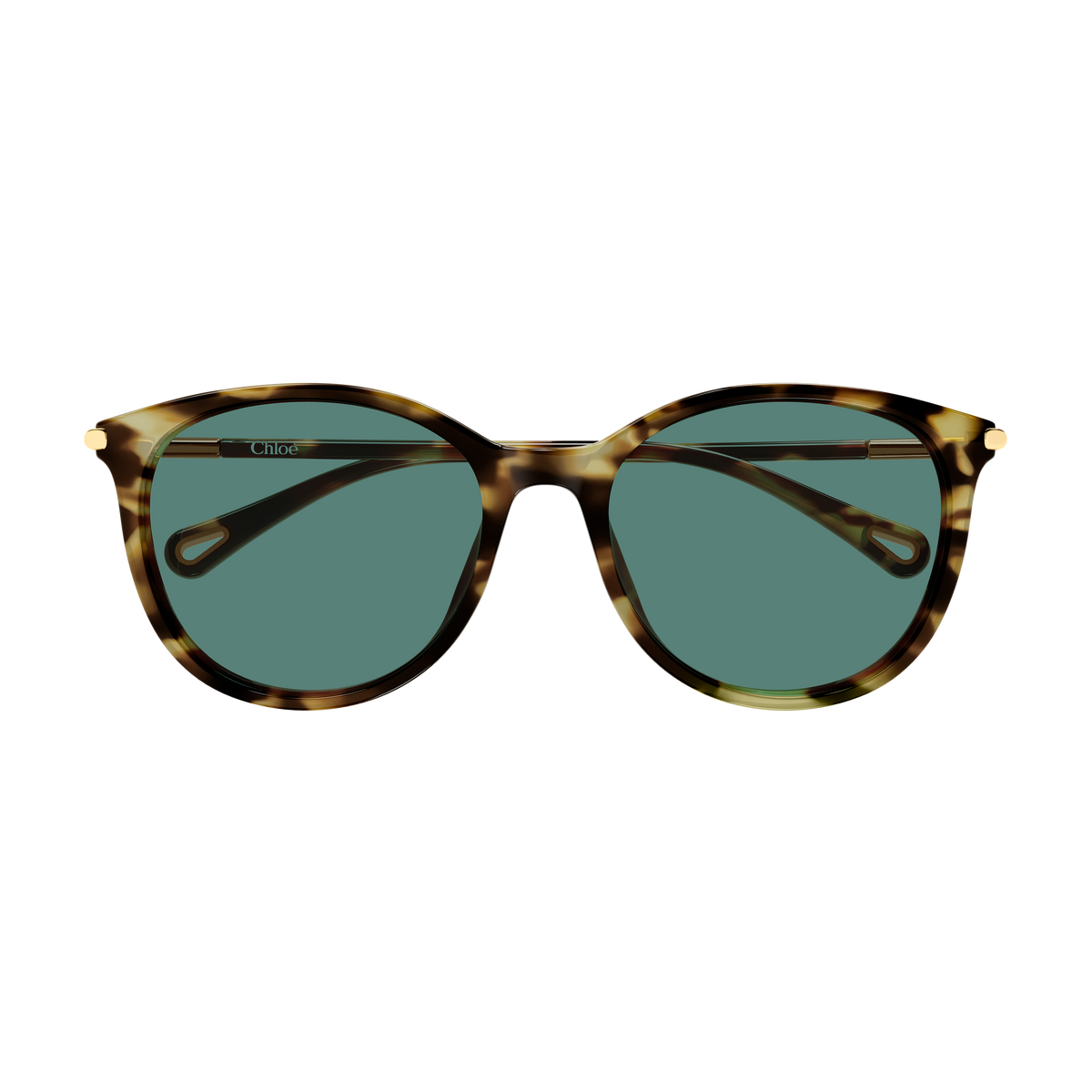 Chloé CH0397SK Écaille Havane Verres Verts 002 de face - Les Lunettes de Pauline