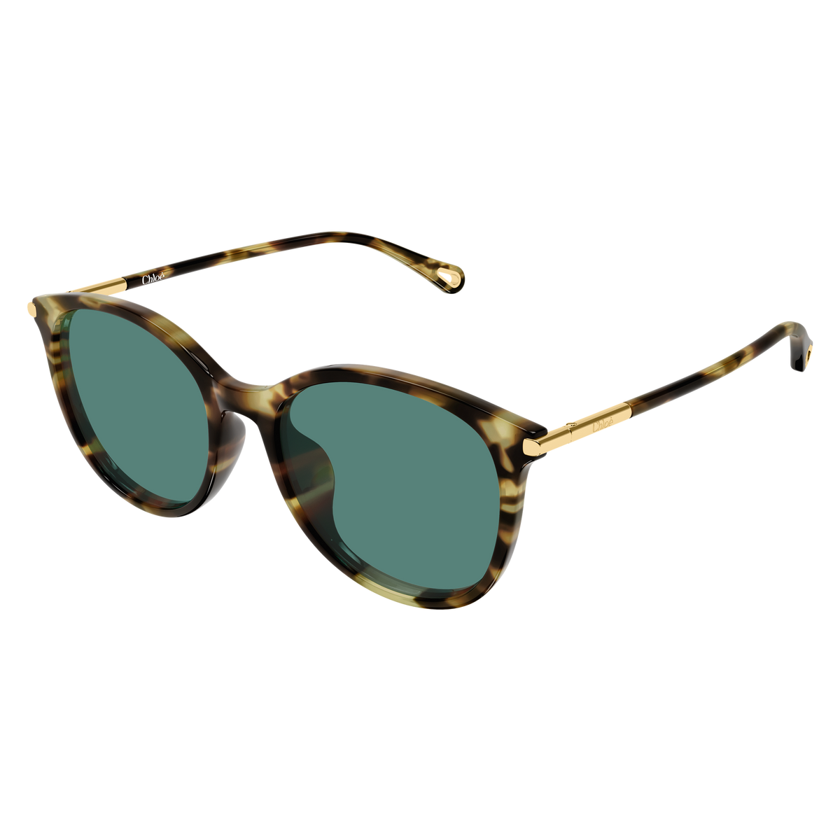 Chloé CH0397SK Écaille Havane Verres Verts 002 de trois-quarts - Les Lunettes de Pauline