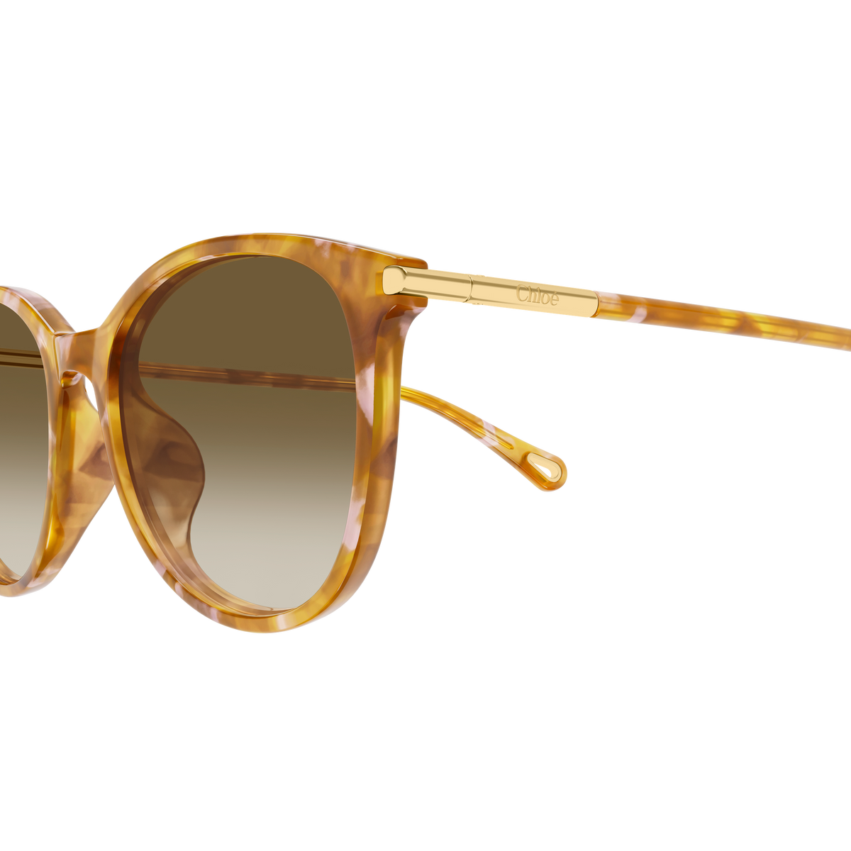 Chloé CH0397SK Écaille Havane Verres Bruns 003 en détail des branches - Les Lunettes de Pauline