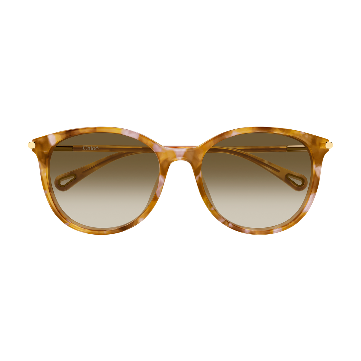 Chloé CH0397SK Écaille Havane Verres Bruns 003 de face - Les Lunettes de Pauline