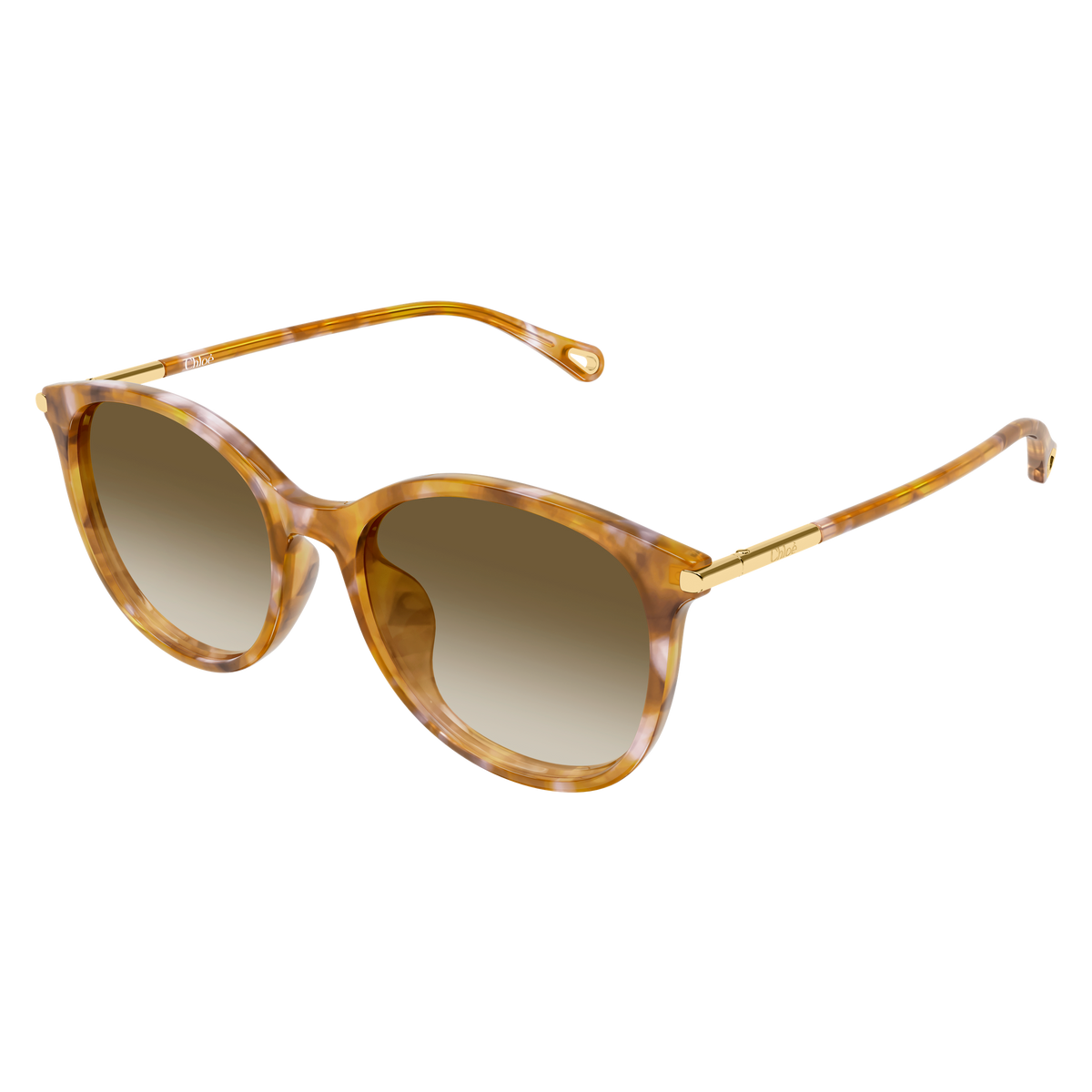 Chloé CH0397SK Écaille Havane Verres Bruns 003 de trois-quarts - Les Lunettes de Pauline