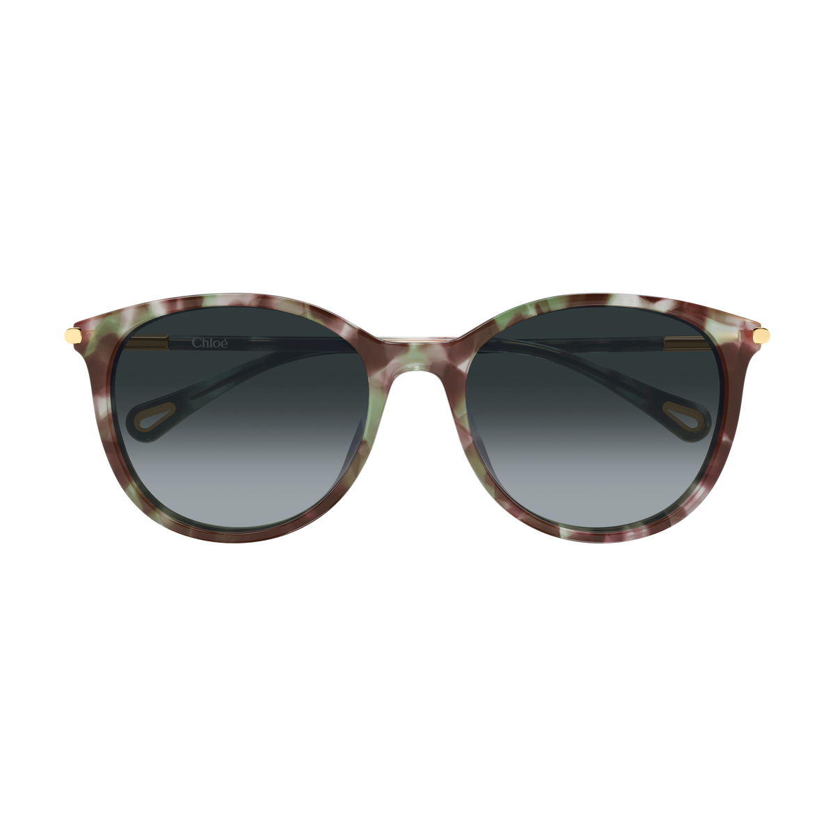 Chloé CH0397SK Écaille Havane Verres Fumés 004 de face - Les Lunettes de Pauline