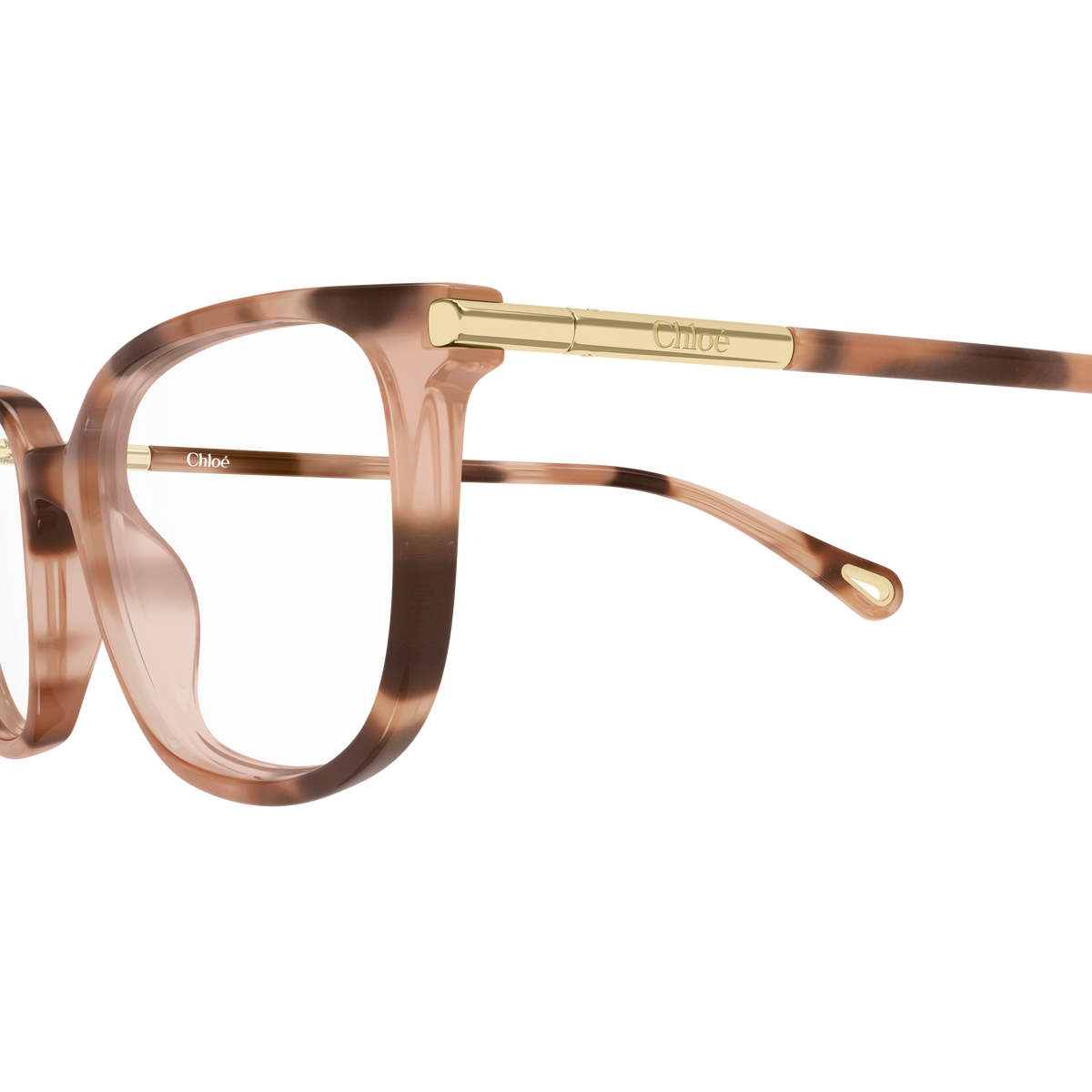 Chloé CH0400O Écaille Havane 003 en détail des branches - Les Lunettes de Pauline