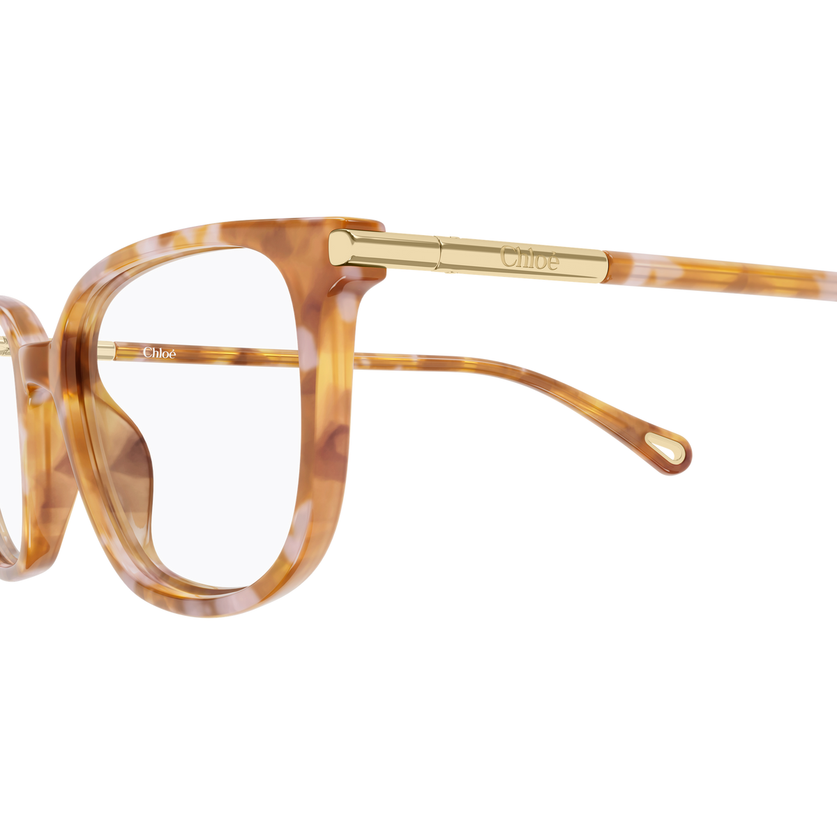 Chloé CH0400O Écaille Havane 004 en détail des branches - Les Lunettes de Pauline