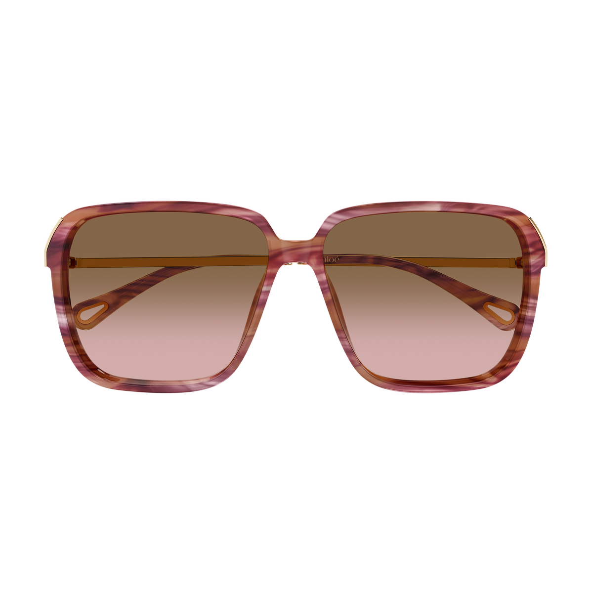 Chloé CH0405S Écaille Havane et Or 002 de face - Les Lunettes de Pauline